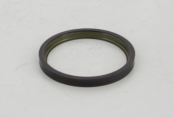 Triscan 8540 10420 - PIERŚCIEŃ ABS CITROEN T. JUMPER 2.2-3.0 HDI 06-