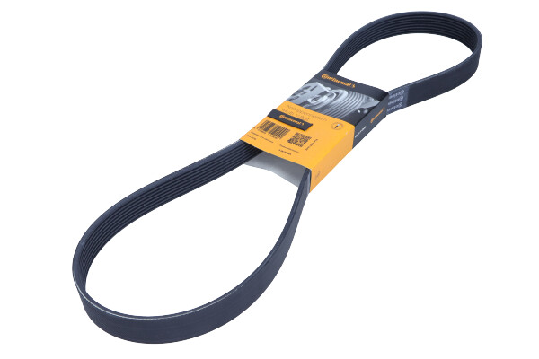 DAYCO 8PK1230 — Pasek klinowy wielorowkowy
