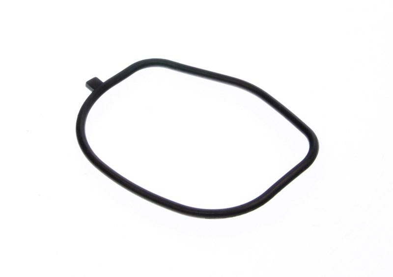 Ajusa 01155300 - USZCZELKA TERMOSTATU FIAT 1.4