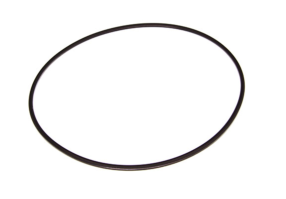 Ajusa 16055300 — Uszczelka, kolektor dolotowy