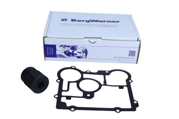 BorgWarner DS2006273 - FILTR OLEJU SAAB - OPEL - ZESTAW