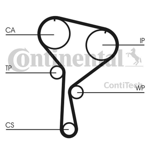 CONTINENTAL CT1035WP1 - ZESTAW ROZRZĄDU RENAULT 1.5DCI 00-