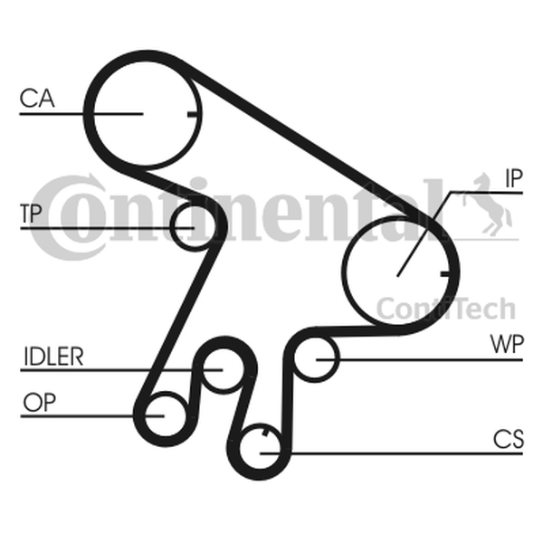 CONTINENTAL CT 1043 — Pasek rozrządu