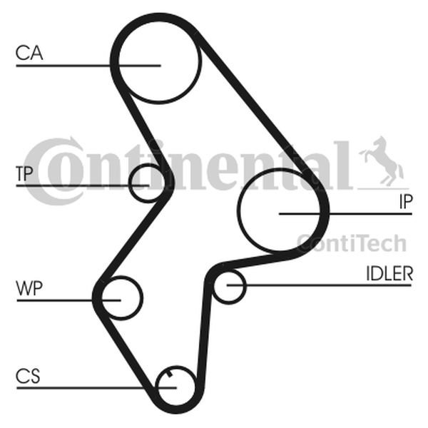 CONTINENTAL CT 1061 WP3 — Pompa wodna + zestaw paska rozrządu