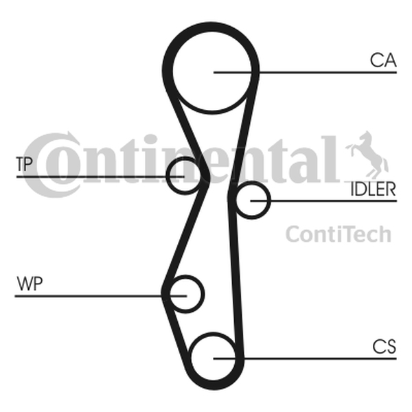CONTINENTAL CT 1091 WP1 — Pompa wodna + zestaw paska rozrządu