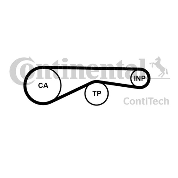 CONTINENTAL CT1095 - PASEK ROZRZĄDU VW 4.2TDI A8-Q7