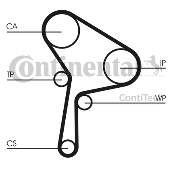 CONTINENTAL CT1150 — Pasek rozrządu