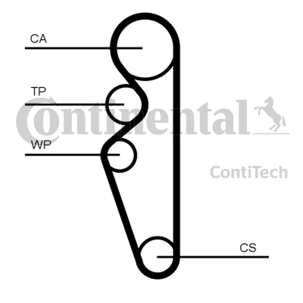 CONTINENTAL CT 1164 - PASEK ROZRZ. GRANTA 1.6 12-