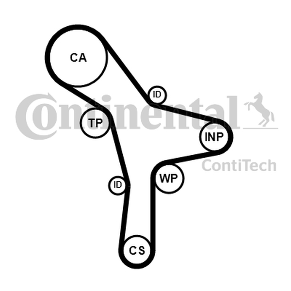 CONTINENTAL CT 1176 — Pasek rozrządu
