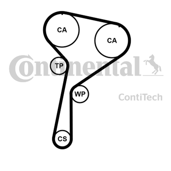 CONTINENTAL CT 1184 WP1 — Pompa wodna + zestaw paska rozrządu