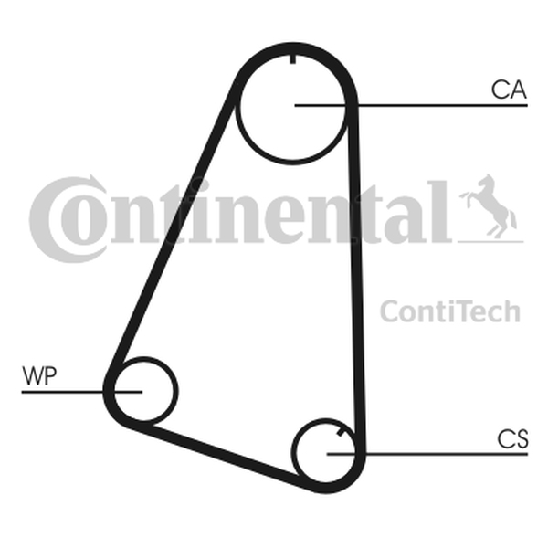 CONTINENTAL CT 504 — Pasek rozrządu