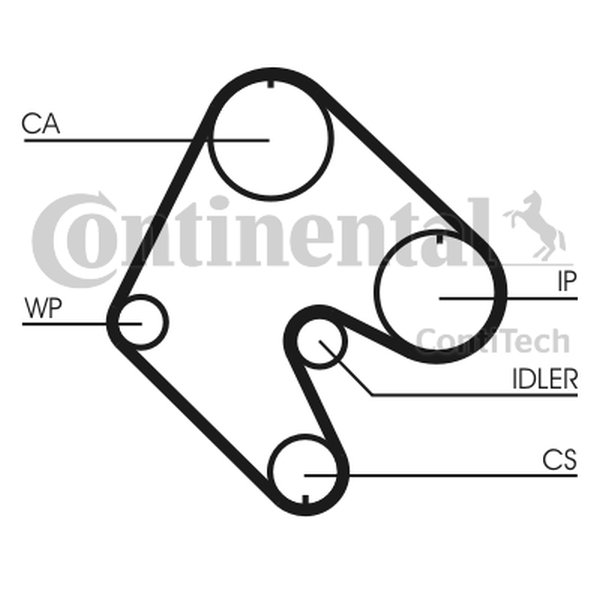 CONTINENTAL CT 529 — Pasek rozrządu