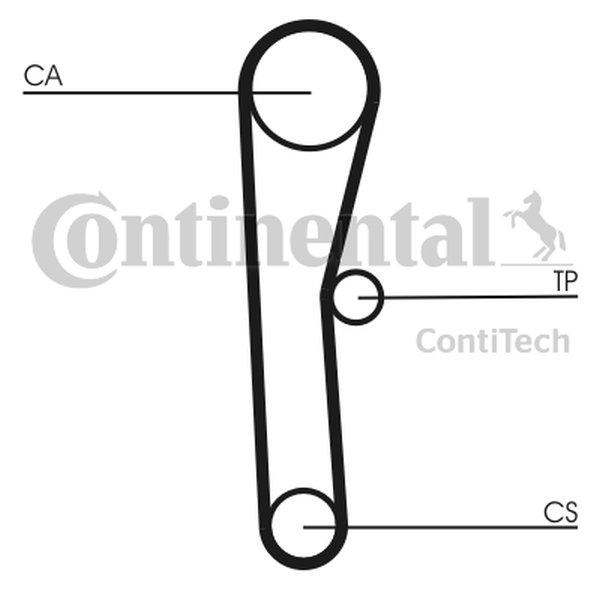 CONTINENTAL CT 536 — Pasek rozrządu