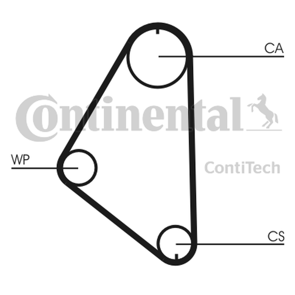 CONTINENTAL CT558 — Pasek rozrządu