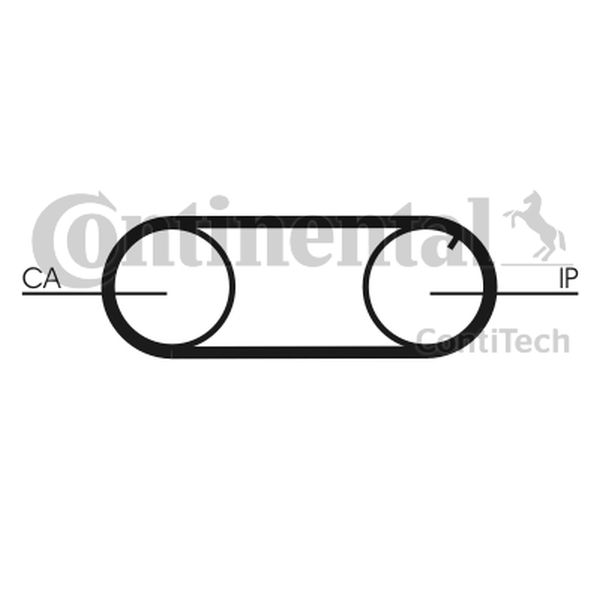 CONTINENTAL CT 641 — Pasek rozrządu