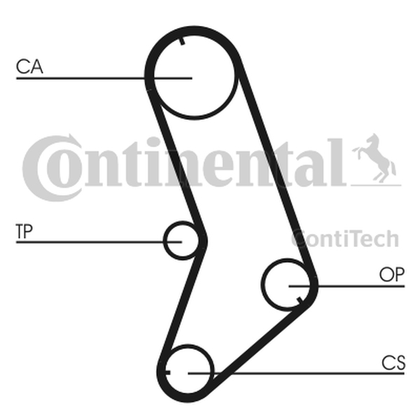 CONTINENTAL CT 647 — Pasek rozrządu