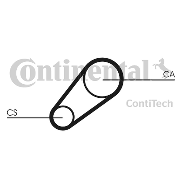 CONTINENTAL CT 648 — Pasek rozrządu