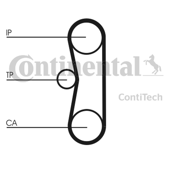 CONTINENTAL CT 662 — Pasek rozrządu