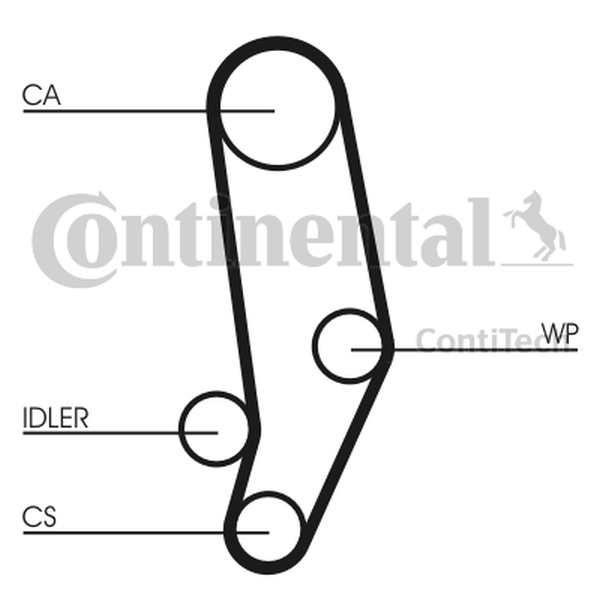 CONTINENTAL CT 704 — Pasek rozrządu