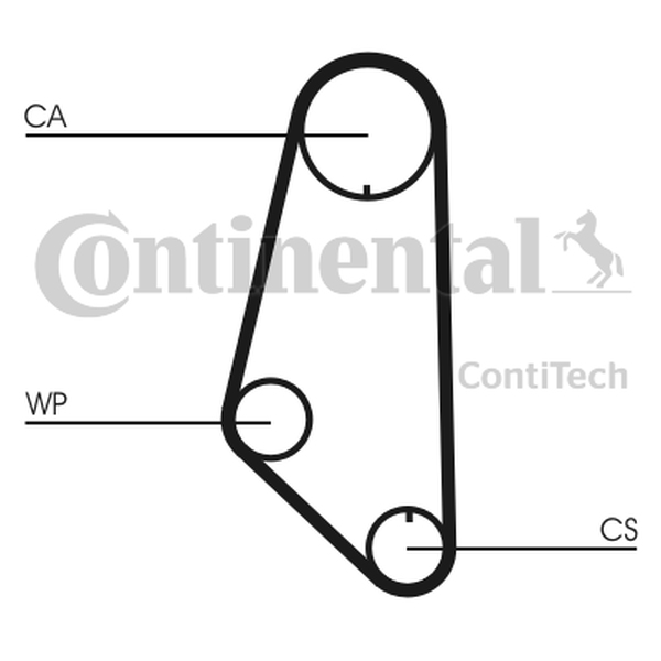 CONTINENTAL CT 732 — Pasek rozrządu