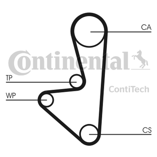 CONTINENTAL CT744 - PASEK ROZRZĄDU CITROEN 1.4-1.6