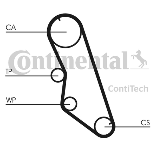 CONTINENTAL CT754 - PASEK ROZRZĄDU PEUGEOT 2.0