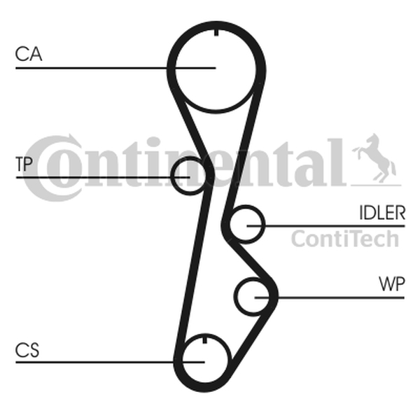 CONTINENTAL CT 774 — Pasek rozrządu