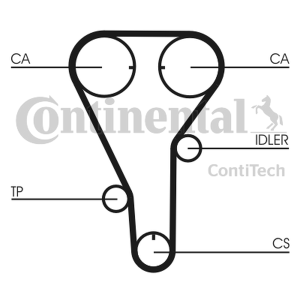 CONTINENTAL CT787 — Pasek rozrządu
