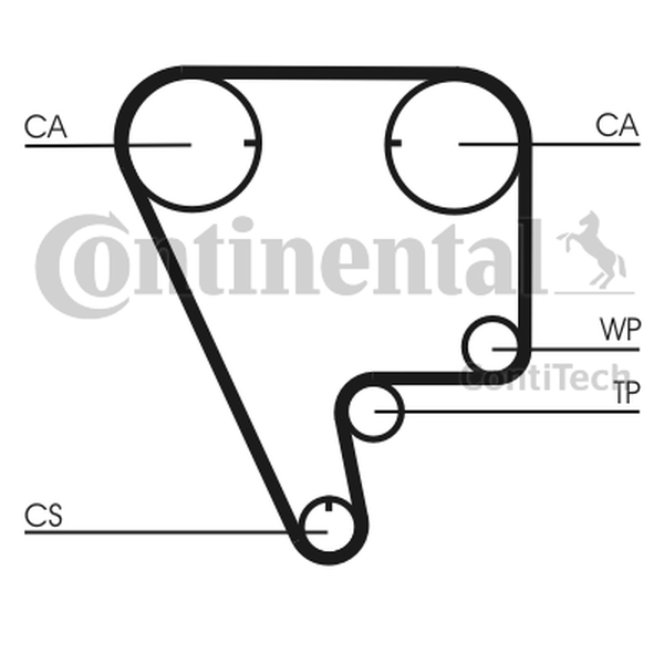 CONTINENTAL CT 794 — Pasek rozrządu