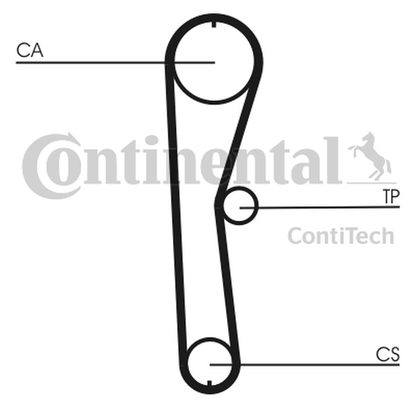 CONTINENTAL CT 824 — Pasek rozrządu