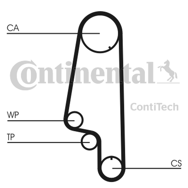 CONTINENTAL CT846 — Pasek rozrządu