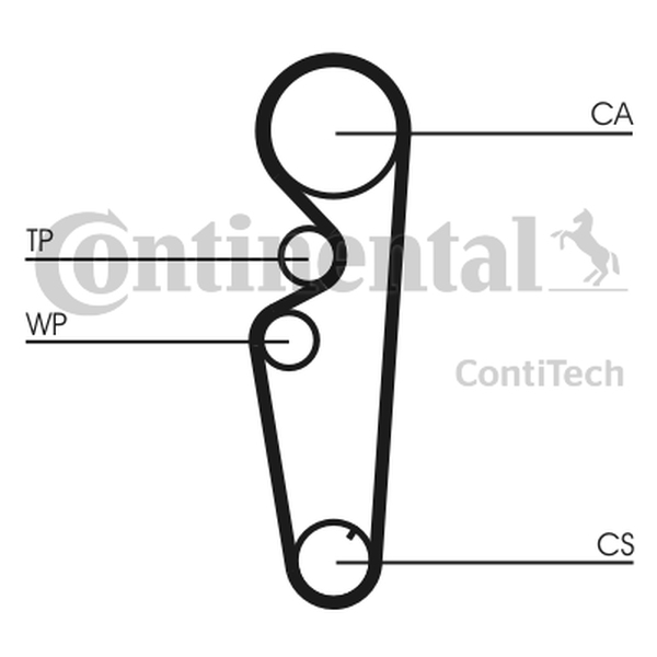 CONTINENTAL CT878 — Pasek rozrządu