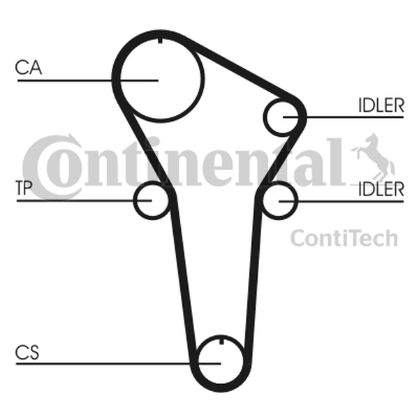 CONTINENTAL CT899 — Pasek rozrządu