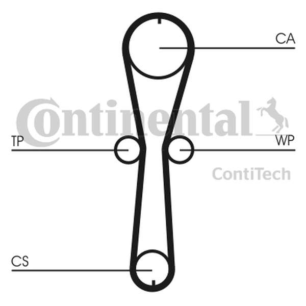 CONTINENTAL CT915WP1 — Pompa wodna + zestaw paska rozrządu