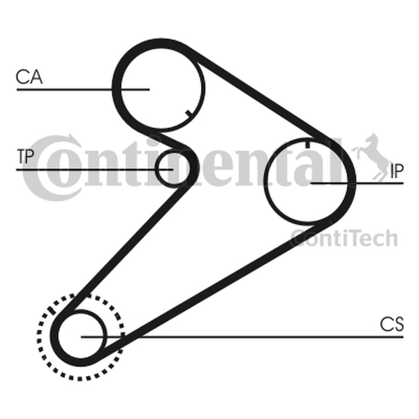 CONTINENTAL CT921 — Pasek rozrządu