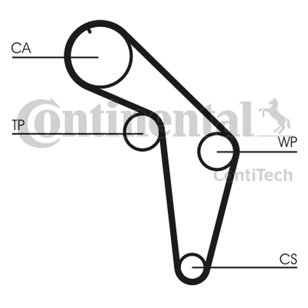 CONTINENTAL CT 926 — Pasek rozrządu