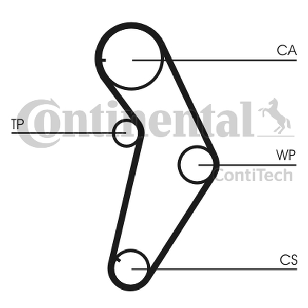 CONTINENTAL CT927 — Pasek rozrządu