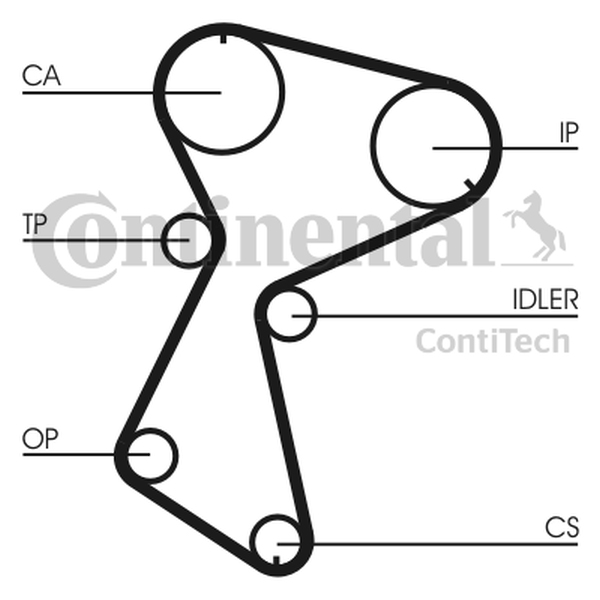 CONTINENTAL CT 935 — Pasek rozrządu