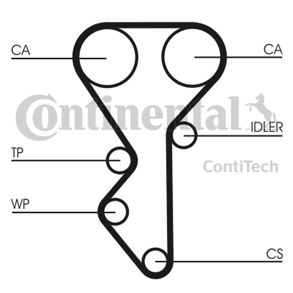 CONTINENTAL CT 955 — Pasek rozrządu