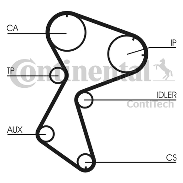 CONTINENTAL CT 966 — Pasek rozrządu
