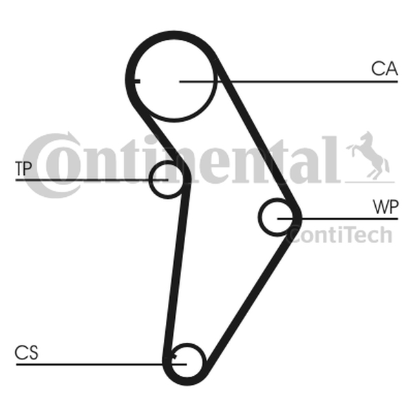 CONTINENTAL CT973 — Pasek rozrządu