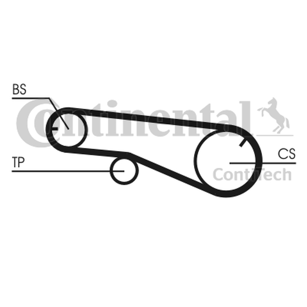 CONTINENTAL CT991 — Pasek rozrządu