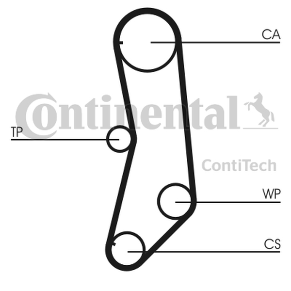 CONTINENTAL CT 997 - PASEK ROZRZĄDU FIAT 1.1 125Z