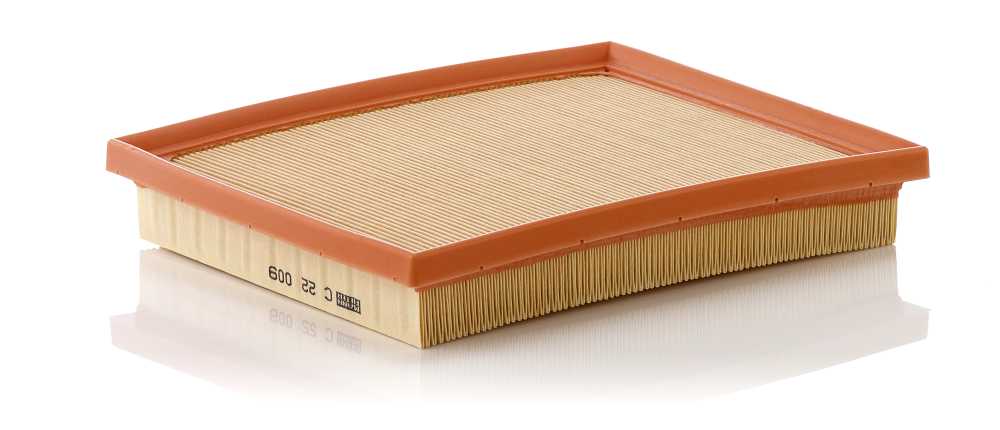 Mann-Filter C 22 009 — Filtr powietrza