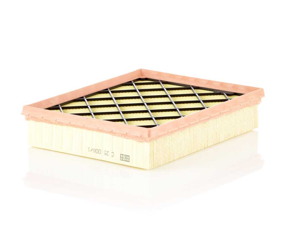 Mann-Filter C 25 008/1 — Filtr powietrza