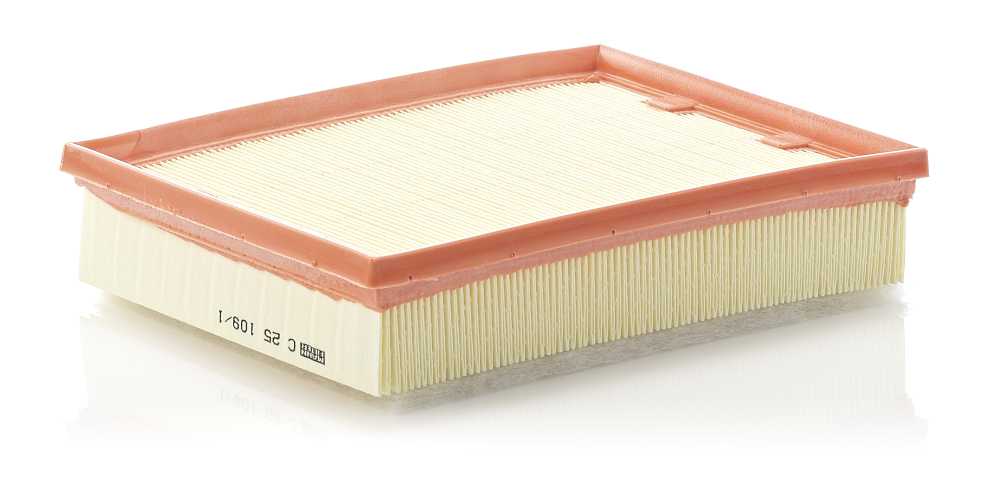 Mann-Filter C 25 109/1 — Filtr powietrza