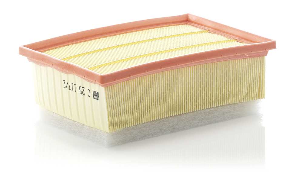 Mann-Filter C 25 117/2 — Filtr powietrza