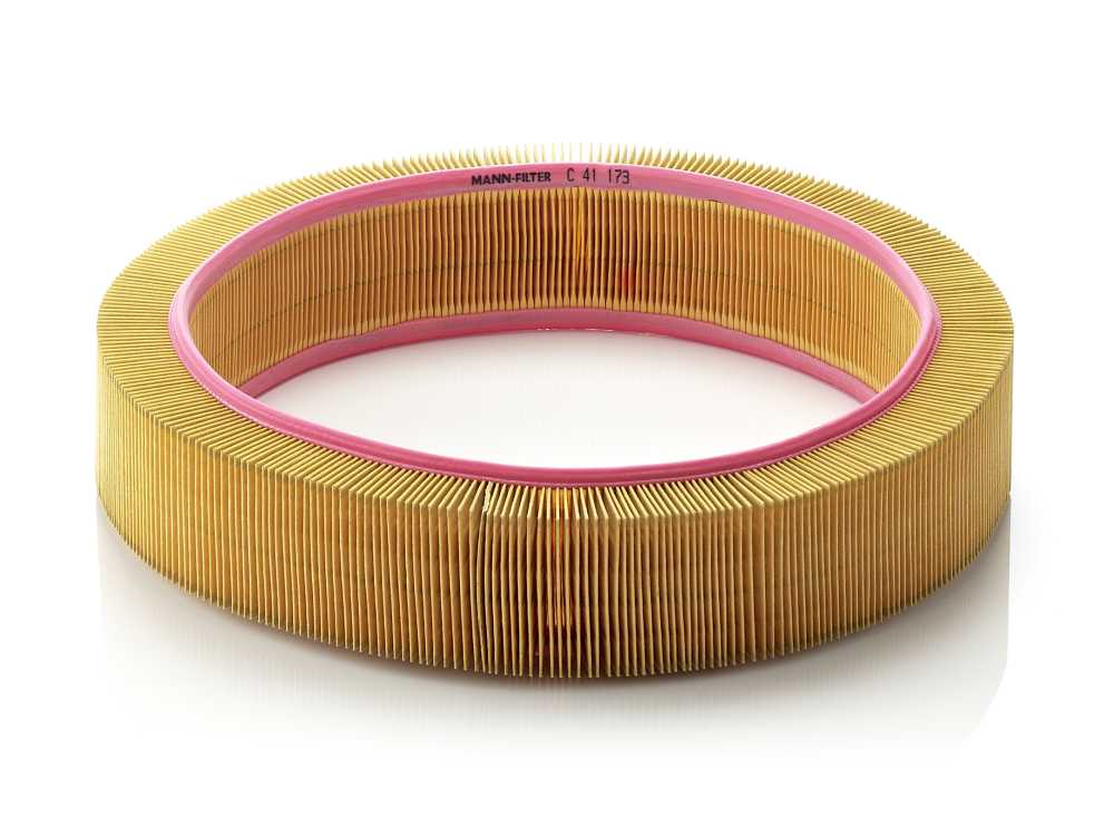 Mann-Filter C 41 173 — Filtr powietrza