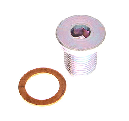 Dr.Motor Automotive DRM01370 - KOREK MISKI OLEJOWEJ M18X1.5 L=22PODK
