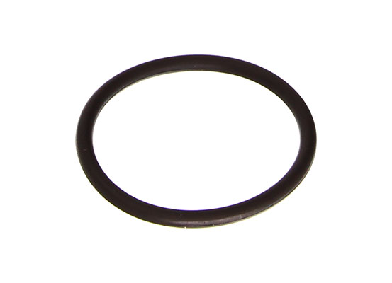 Dr.Motor Automotive DRM01471 - USZCZELKA ZAWORU EGR
